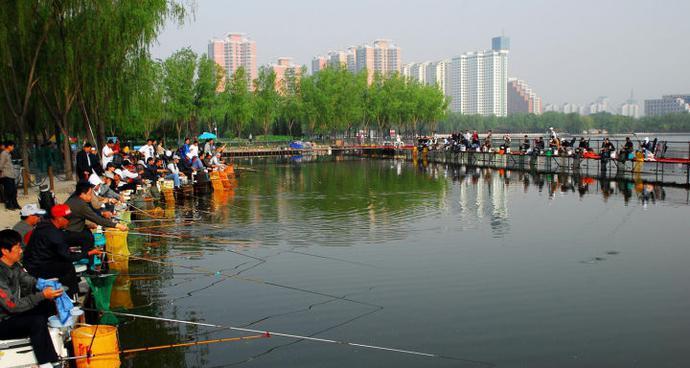 水草堆里钓鱼的技巧（享受自然乐趣）