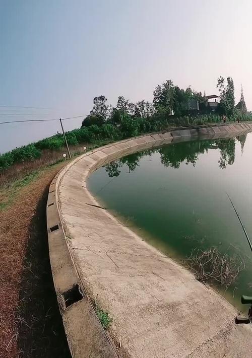 水草黑坑钓鱼技巧（掌握技巧）