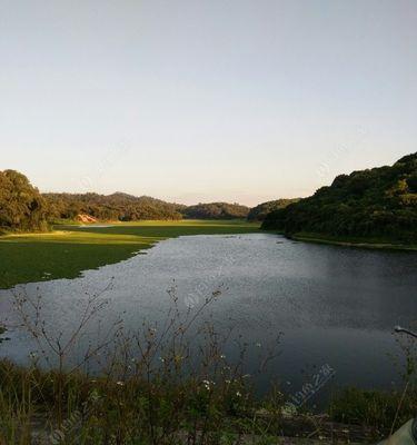 水草塘夜晚钓鱼技巧（夜晚钓鱼）