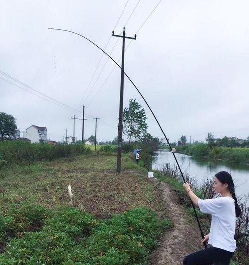 水底烂树叶钓鱼技巧（钓鱼达人教你如何利用水底烂树叶提升钓鱼成功率）