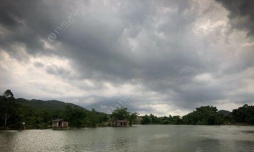 水库坝下溪流钓鱼技巧（探寻溪流秘境）