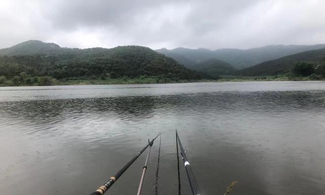 四川山体水库钓鱼技巧（探秘四川山体水库钓鱼技巧）