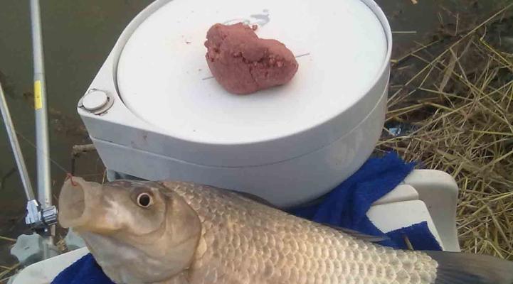 四海钓鱼饵料技巧大揭秘（探秘专业钓鱼饵料制作技巧）