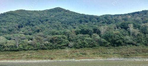 松花湖钓鱼打窝技巧（探秘松花湖的高效钓鱼方法）