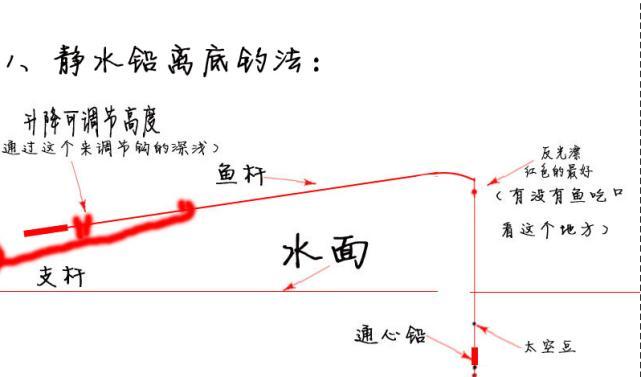 台钓入门技巧（提升你的台钓技巧）