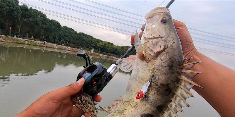 台钓鳜鱼技巧与方法（掌握钓鳜鱼的绝佳技巧）