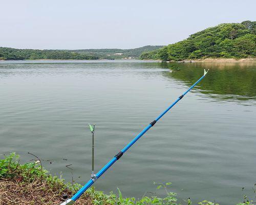 以台钓技巧中鱼竿抛满的利弊（提高效率与增加风险）