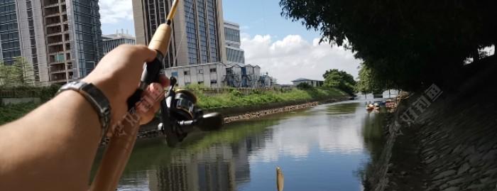 台钓闹窝技巧大全（掌握闹窝技巧）