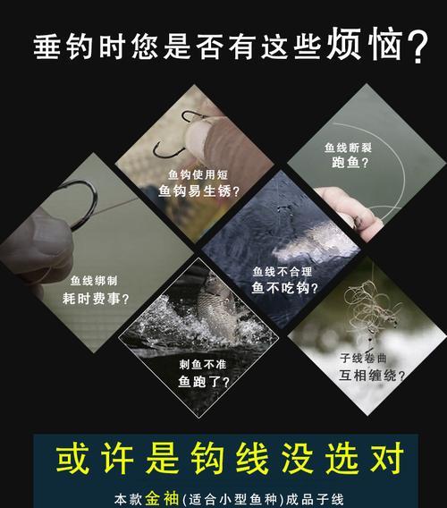 提升以台钓双钩技巧的调整方法（技巧详解与实战指南）