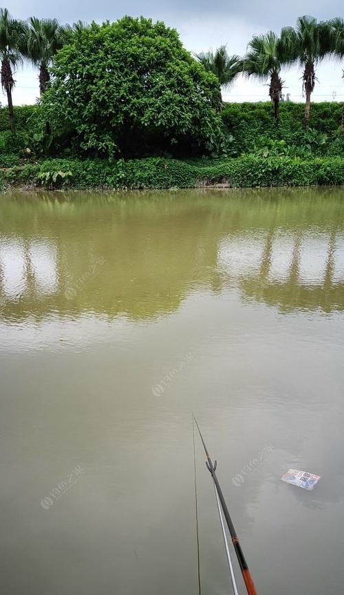 水钓鱼技巧大揭秘（提升你的水钓收获）