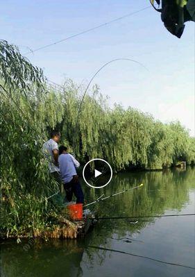 台风天气下的钓鱼技巧（钓鱼技巧分享）