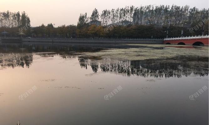 探秘泰安汶河钓鱼技巧（挑战极致钓鱼高手的必备技巧）