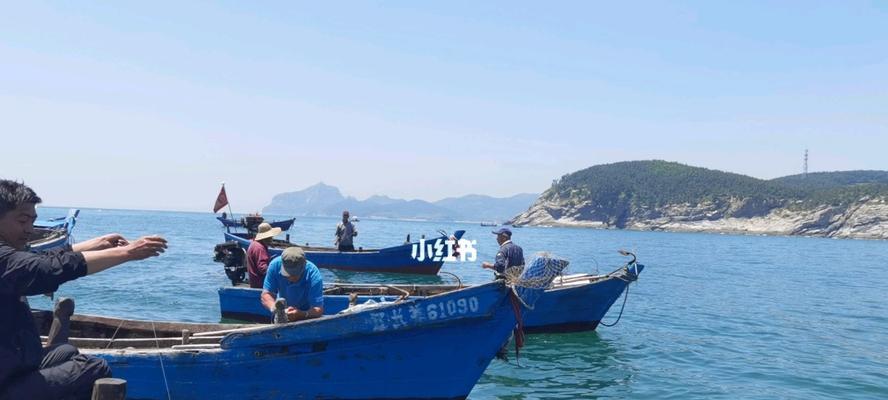 泰国海岛钓鱼技巧教程（掌握海岛钓鱼技巧）