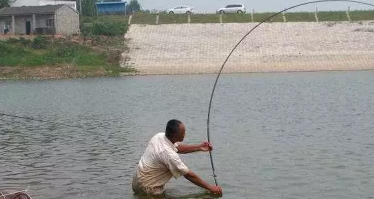 塘子钓鱼技巧（掌握塘子钓鱼的窍门）