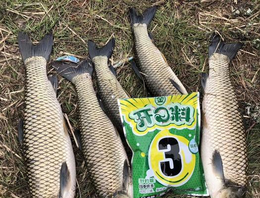 夏季钓鱼用饵料技巧（夏季钓鱼用饵料的选取和使用技巧）