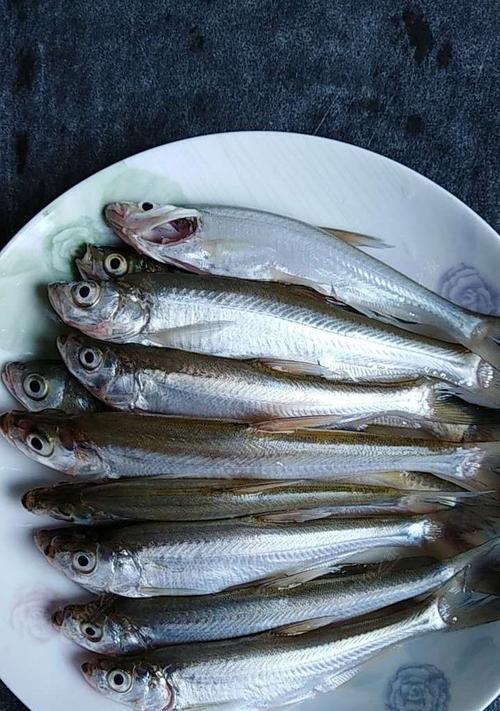 夏季浮钓钓翘嘴技巧（探秘夏季浮钓翘嘴的窍门和技巧）