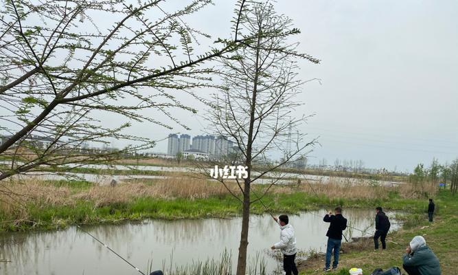 夏季高温河流钓鱼技巧（挑战高温河流的钓鱼技巧）