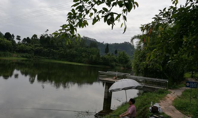 夏季高温闷热钓鱼技巧（畅享夏日钓鱼乐趣）