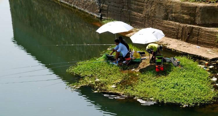 夏季高温天钓鱼技巧（应对高温天气）