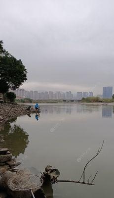 钓鱼技巧分析——应对夏季高温炎热时节（解读夏季钓鱼技巧）