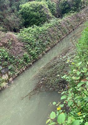 夏季沟渠野钓技巧（掌握这些技巧）