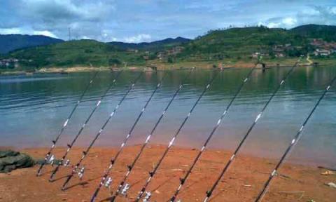 夏季海竿翻板钩钓鱼技巧（掌握钓鱼技巧）