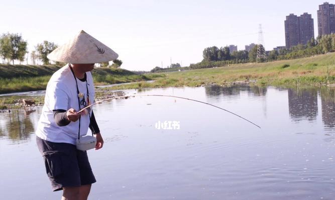 夏季河边野钓鱼技巧（享受钓鱼乐趣的秘诀）