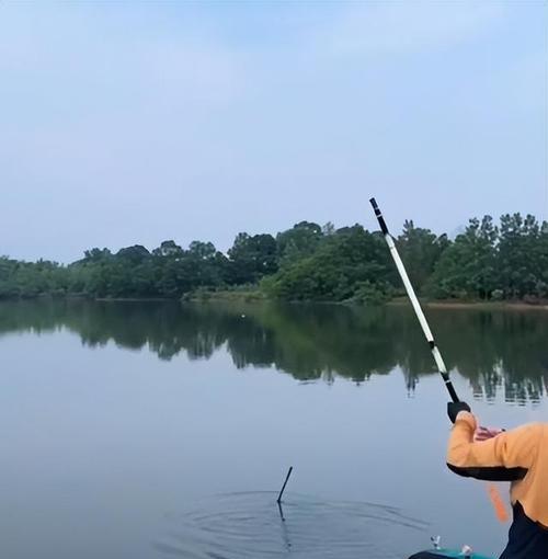 夏季黑坑钓鱼技巧（选钓位和时间的关键）