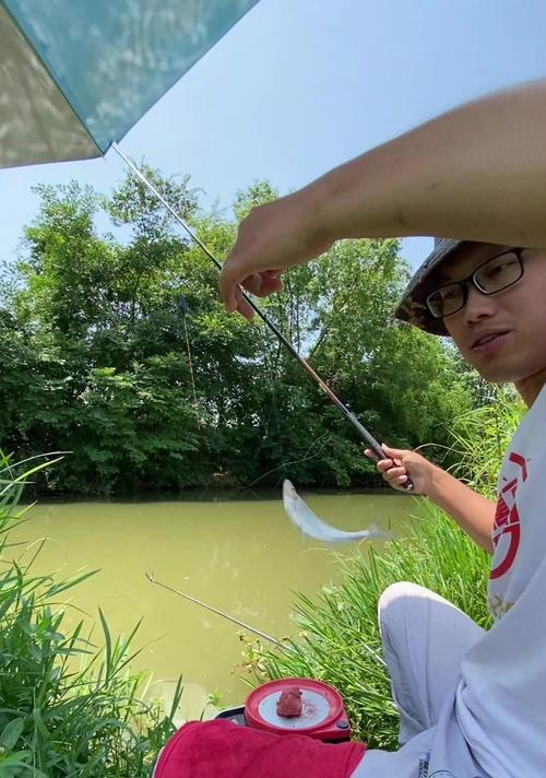 夏季鲫鱼钓浮技巧（掌握这些技巧）