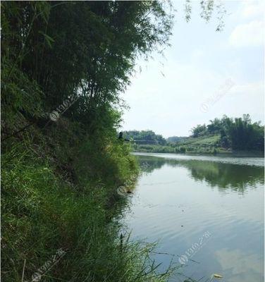 夏季江河涨水钓鱼技巧（夏季钓鱼涨水中的窍门）