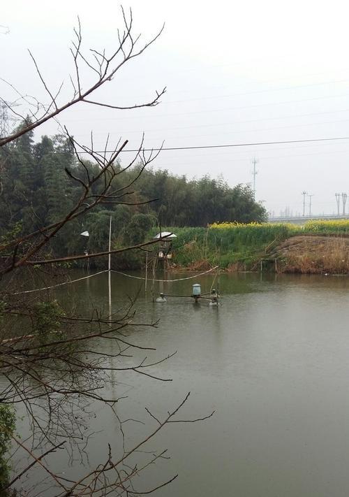 夏季雷雨天钓鱼的技巧（享受雷雨中的丰收与乐趣）