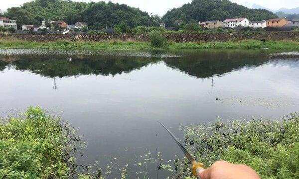 夏季凌晨4点野钓打窝技巧（打造高效的夏季野钓打窝策略）