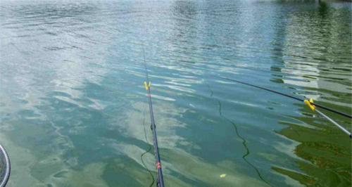 夏季流水钓大鱼的技巧与方法（夏季流水钓大鱼的实用技巧）