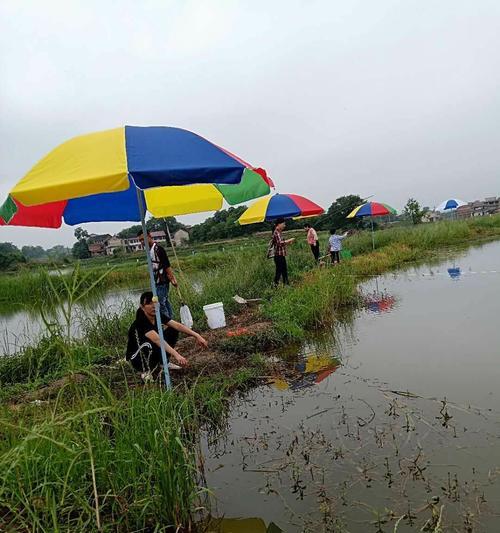 夏季全天钓鱼技巧与方法（享受夏日钓鱼乐趣）