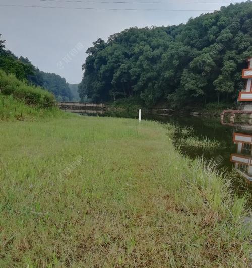 夏季三伏天河流野钓技巧（夏季河流钓鱼攻略）