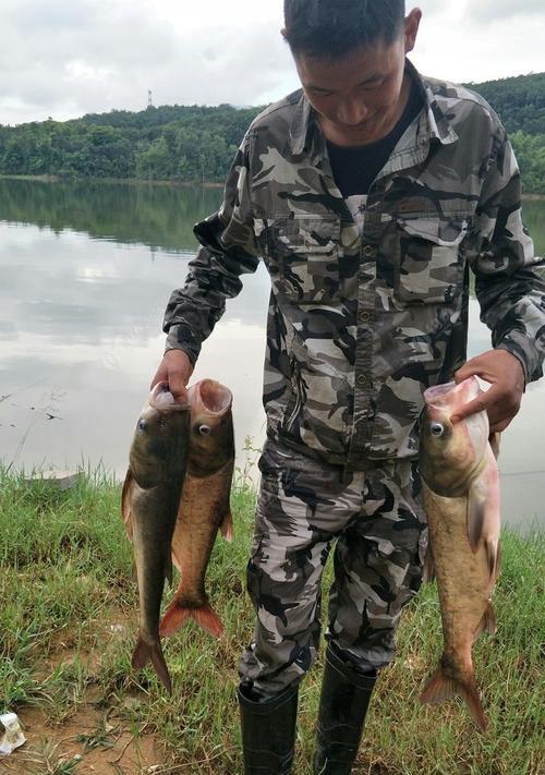 夏季水库垂钓鲢鳙技巧解析（夏季水库钓鲢鳙的经验分享及技巧总结）