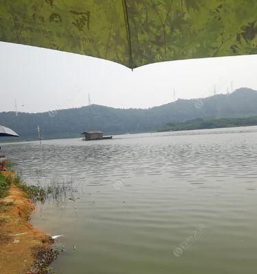 夏季水库钓鱼技巧大揭秘（专家分享的夏季水库钓鱼技巧）