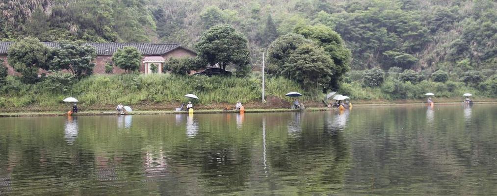 夏季水库钓鱼技巧新手入门（掌握夏季水库钓鱼的基本技巧）