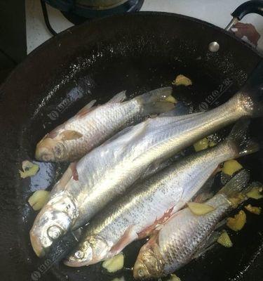 夏季水库夜钓翘嘴的技巧与方法（夏季水库夜钓如何提高钓鱼效果）