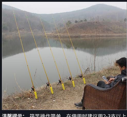 夏季台钓鲫鱼的技巧与方法（夏日捕鲫鱼）