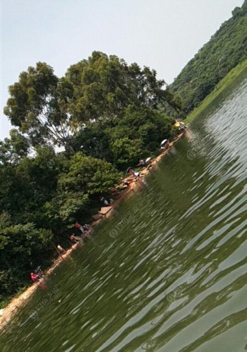 夏季下雨前钓鱼技巧（掌握关键技巧）