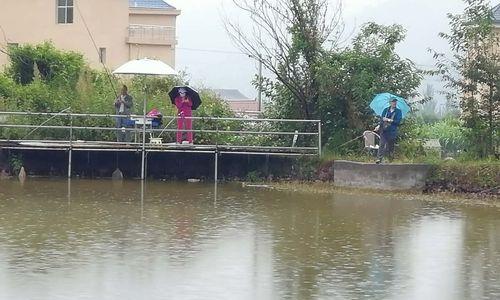 夏季下雨天钓鱼技巧（雨中垂钓的窍门）