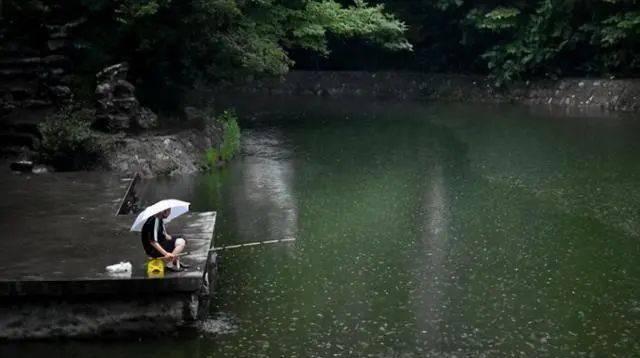 夏季下雨天水库钓鱼技巧（享受雨中的渔乐）