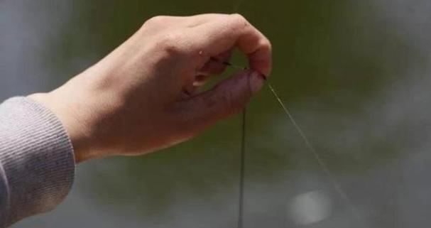 夏季小雨野钓鲫鱼技巧（掌握正确的技巧）