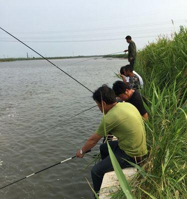 夏季野钓大河鲤鱼技巧（掌握钓鲤的技巧）