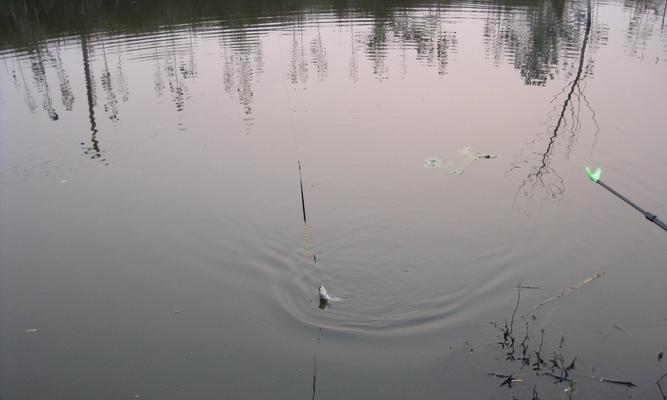 夏季野钓鲫鱼的最佳调漂技巧（夏季鲫鱼钓法揭秘）