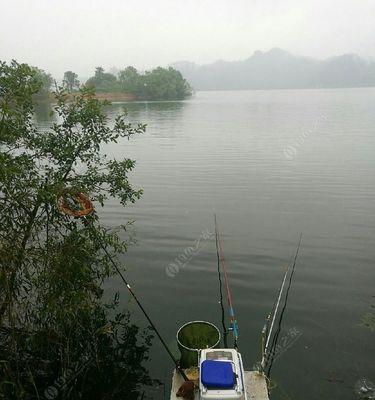 夏季野钓阴天的高效技巧（提高夏季野钓效率的经验分享）