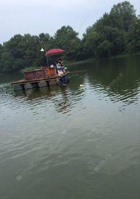 夏季野钓鱼技巧与饵料（夏日钓鱼新手必备）