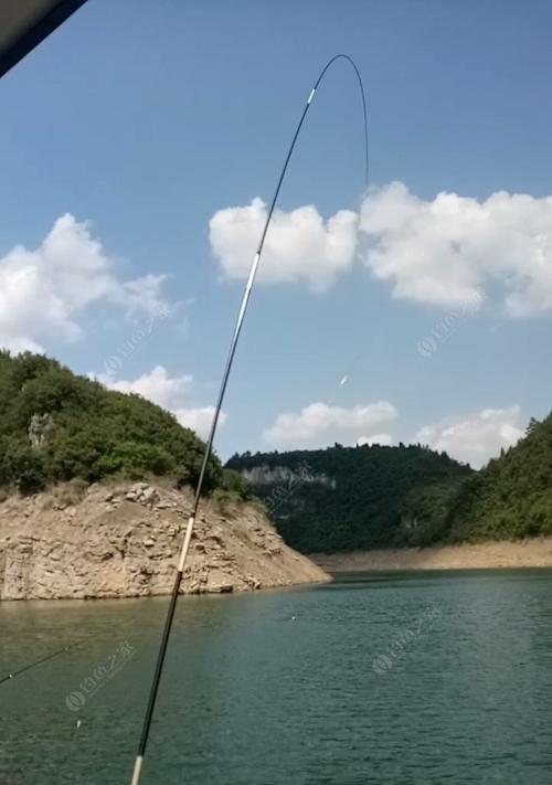 夏日大水面钓鱼技巧（掌握技巧）