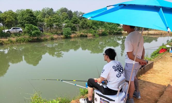 夏天活水钓鱼技巧（夏天活水钓鱼的秘诀与技巧）